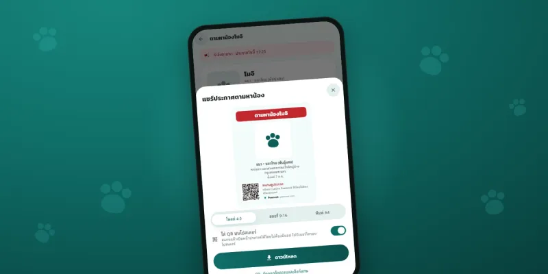 มือถือเปิดโปสเตอร์ประกาศตามหาน้องพร้อม QR ใน Pawsook