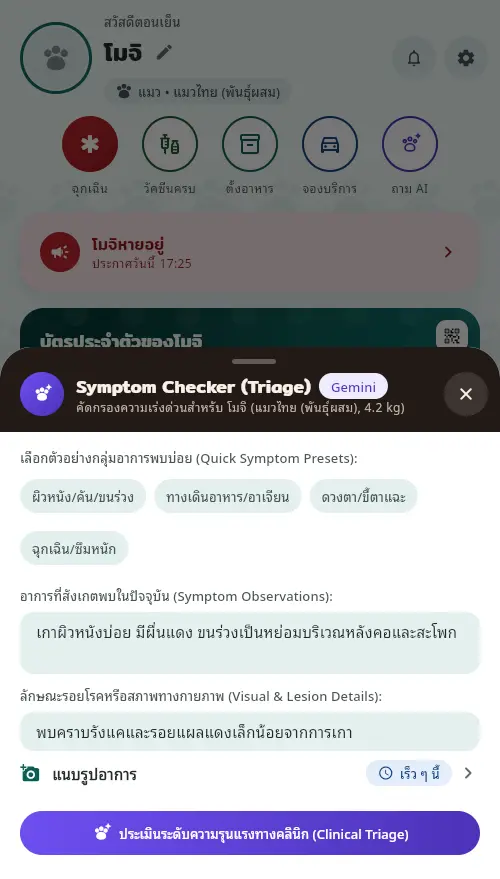 หน้าเช็คอาการ มีกลุ่มอาการพบบ่อย ช่องอาการที่สังเกตพบ ช่องลักษณะทางกายภาพ และปุ่มประเมิน