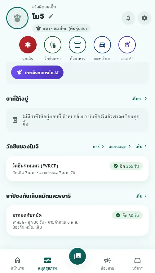 สมุดสุขภาพที่มีวัคซีนรวมแมวอีก 365 วัน และยาหยดกันหมัดอีก 30 วัน